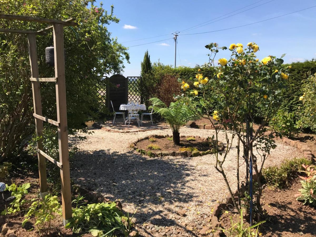 Le Jardin Des Fees Bed and Breakfast Savigny-le-Vieux Exteriör bild