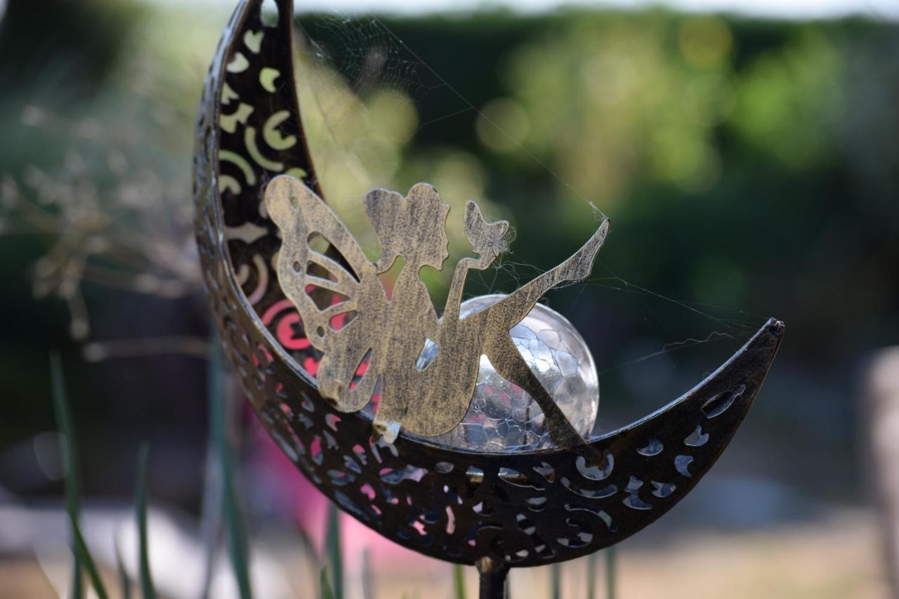 Le Jardin Des Fees Bed and Breakfast Savigny-le-Vieux Exteriör bild